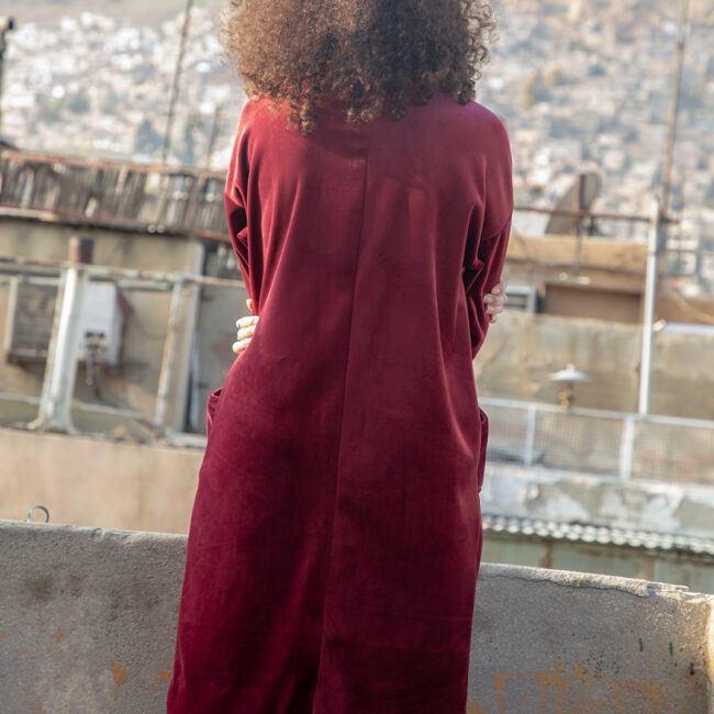 Alternative view of The Velvet Dress